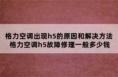 格力空调出现h5的原因和解决方法 格力空调h5故障修理一般多少钱